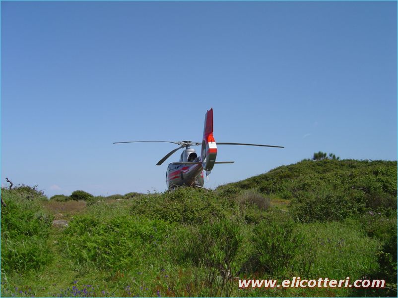 elifoto (51)